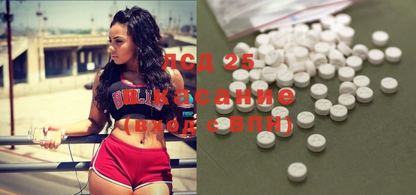 индика Каменка