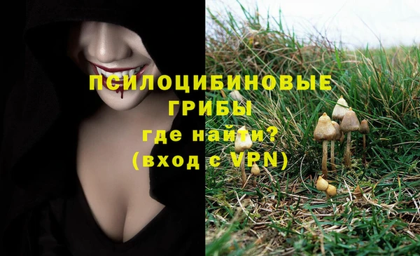 альфа пвп Каменногорск