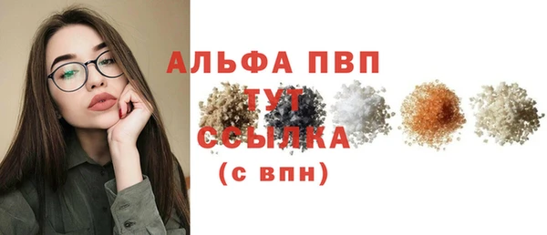 индика Каменка