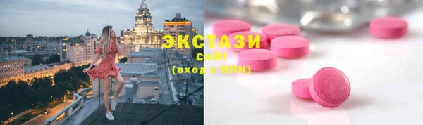 индика Каменка