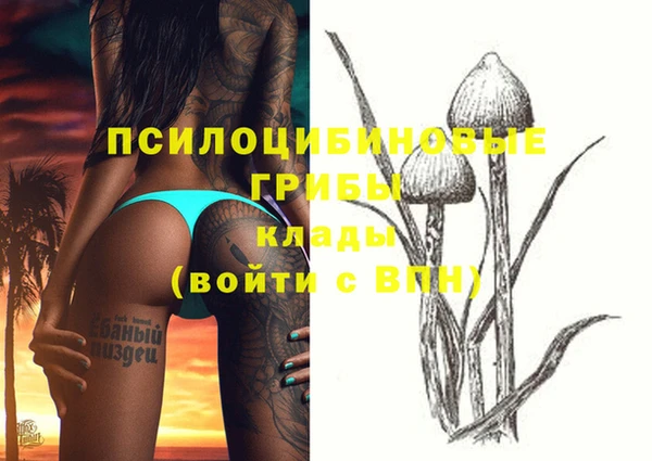 индика Каменка