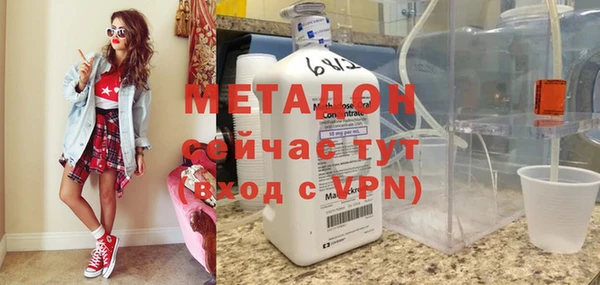 индика Каменка
