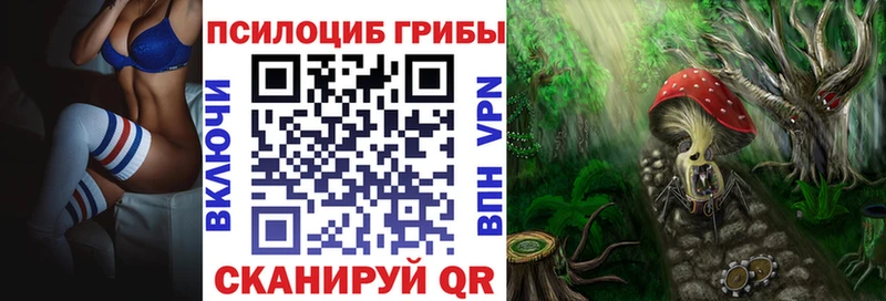 Галлюциногенные грибы Psilocybine cubensis  Дагестанские Огни 